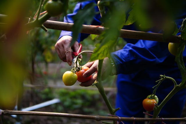 Nuovi Vicini e il SIPLA contro lo sfruttamento in agricoltura